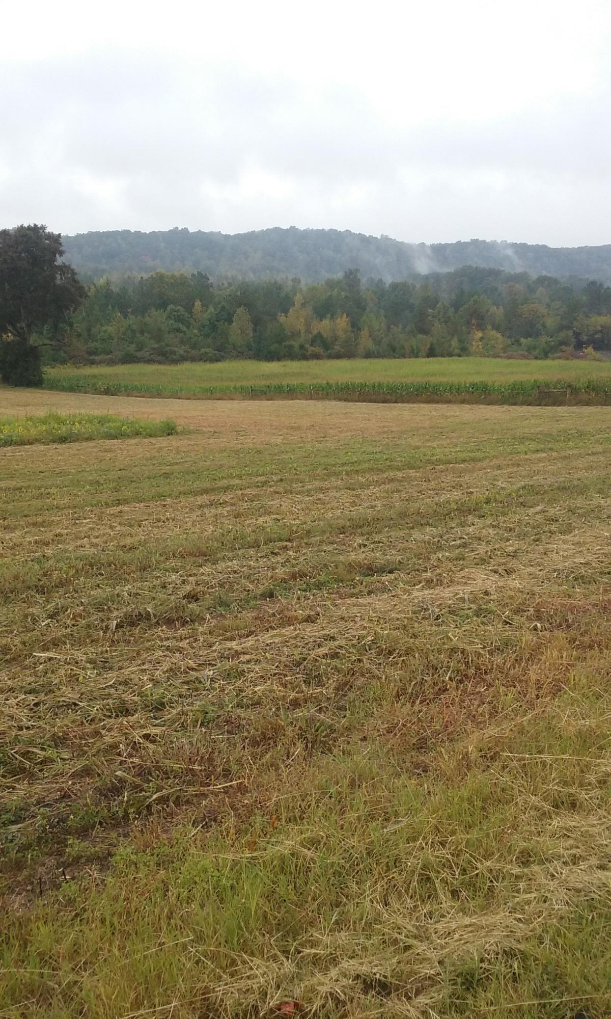Johnson Church Road Philadelphia, TN 37846 - Photo 19 of 33 027