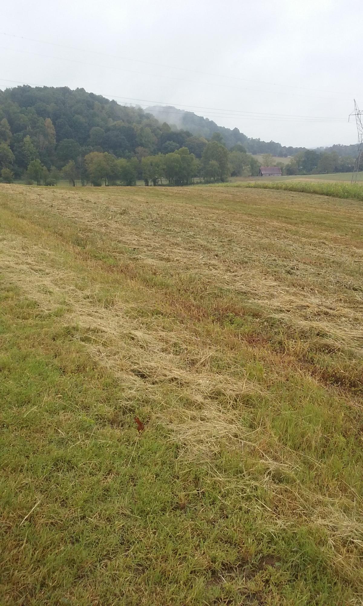 Johnson Church Road Philadelphia, TN 37846 - Photo 20 of 33 028