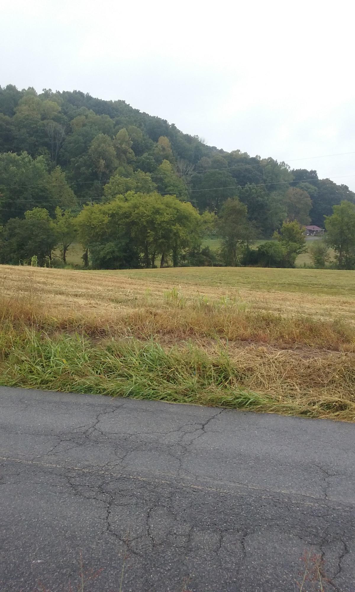 Johnson Church Road Philadelphia, TN 37846 - Photo 3 of 33 007