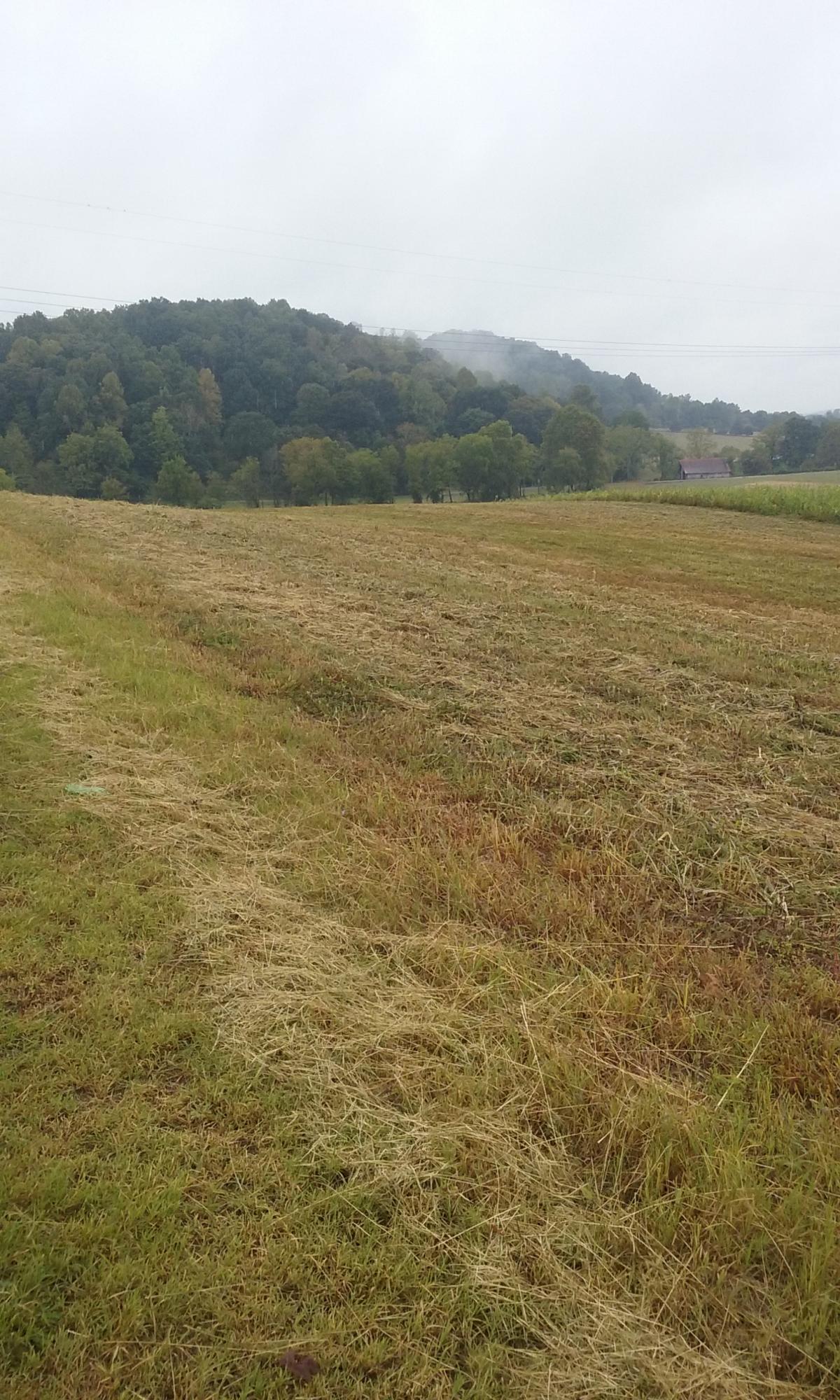 Johnson Church Road Philadelphia, TN 37846 - Photo 21 of 33 029