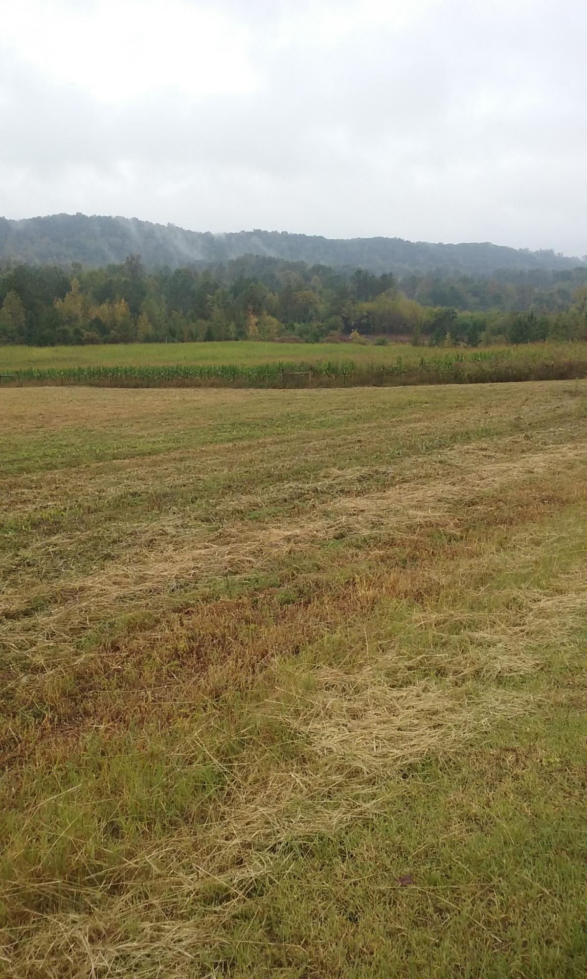 Johnson Church Road Philadelphia, TN 37846 - Photo 22 of 33 030