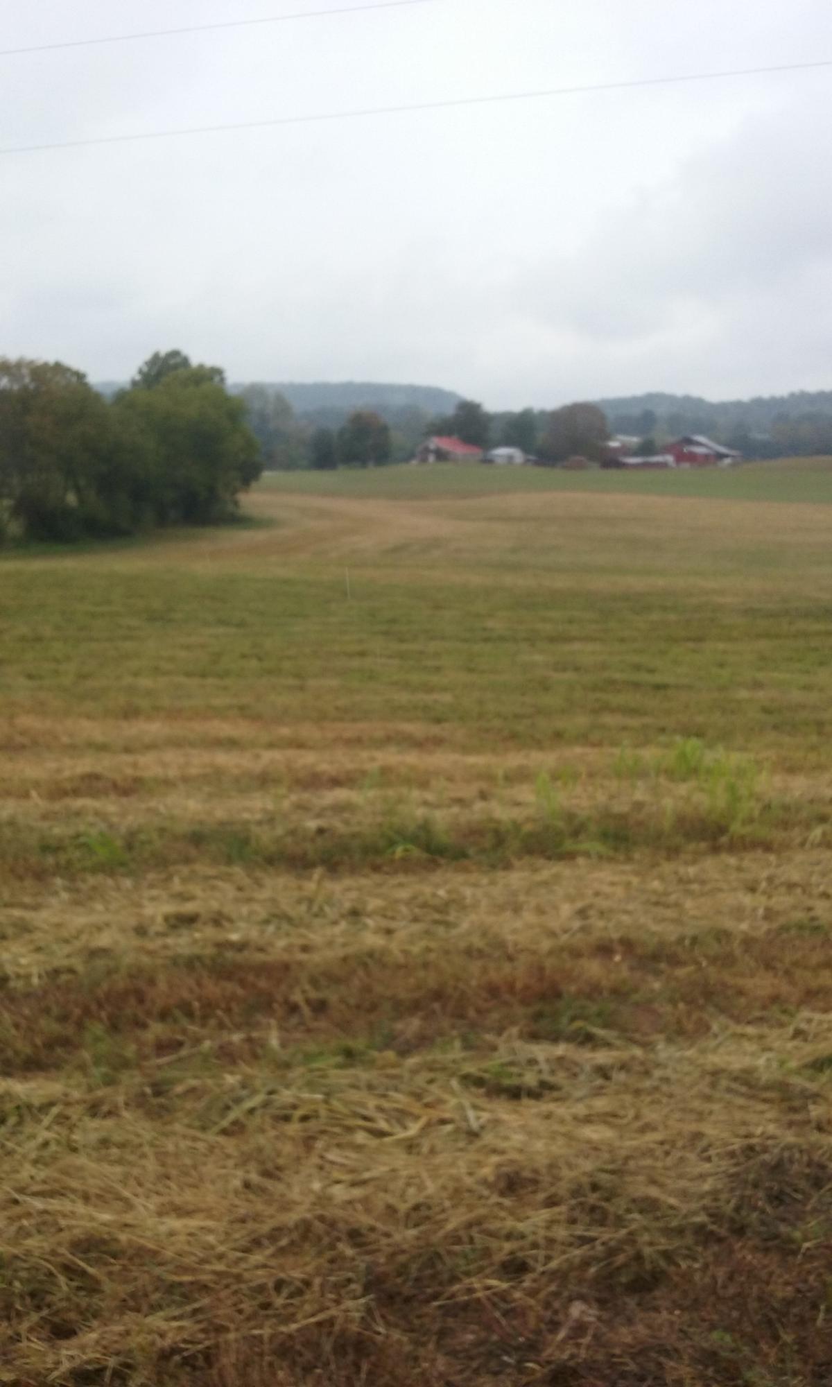 Johnson Church Road Philadelphia, TN 37846 - Photo 23 of 33 031