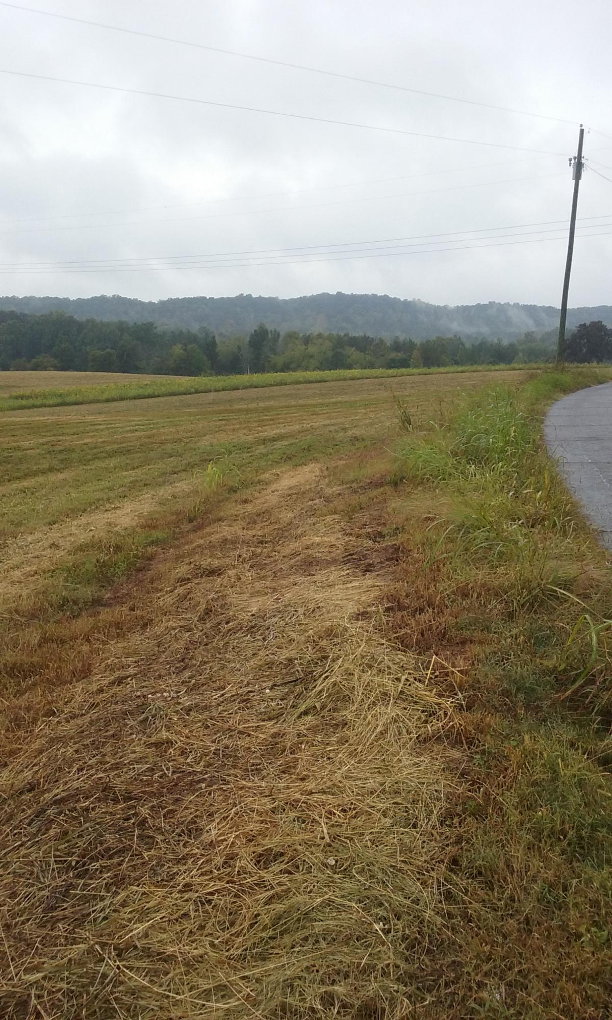 Johnson Church Road Philadelphia, TN 37846 - Photo 25 of 33 033