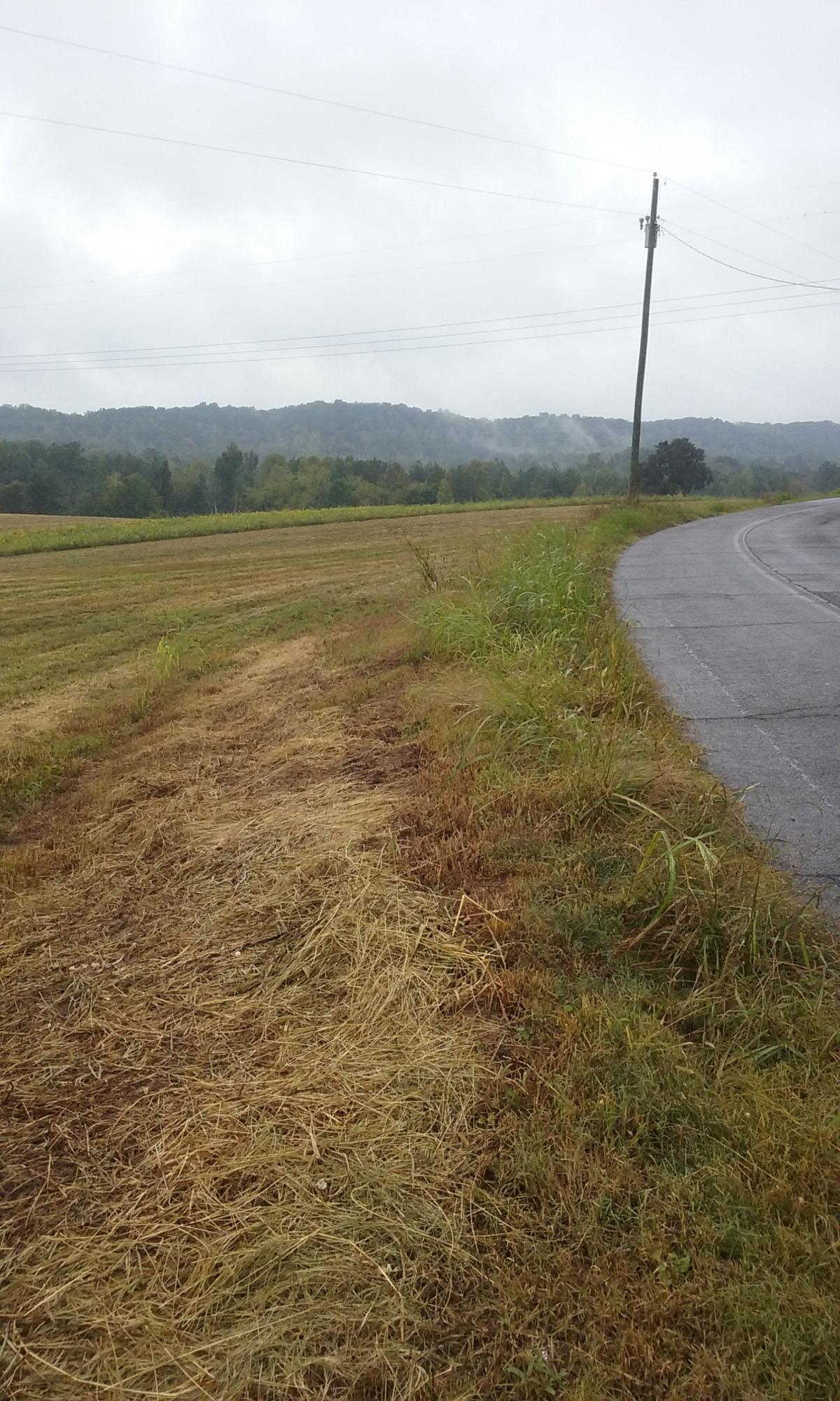 Johnson Church Road Philadelphia, TN 37846 - Photo 26 of 33 034