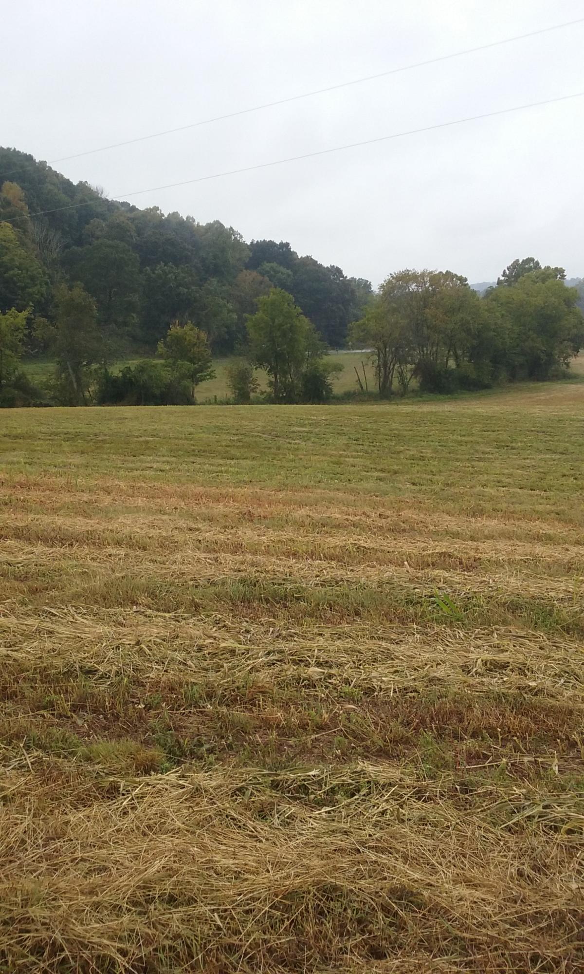 Johnson Church Road Philadelphia, TN 37846 - Photo 28 of 33 036