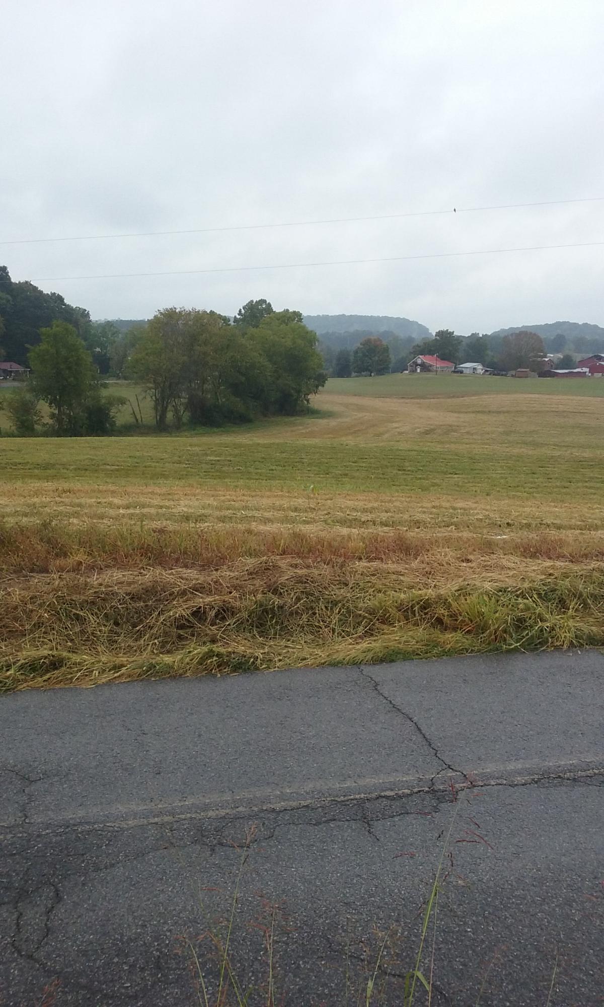 Johnson Church Road Philadelphia, TN 37846 - Photo 4 of 33 008