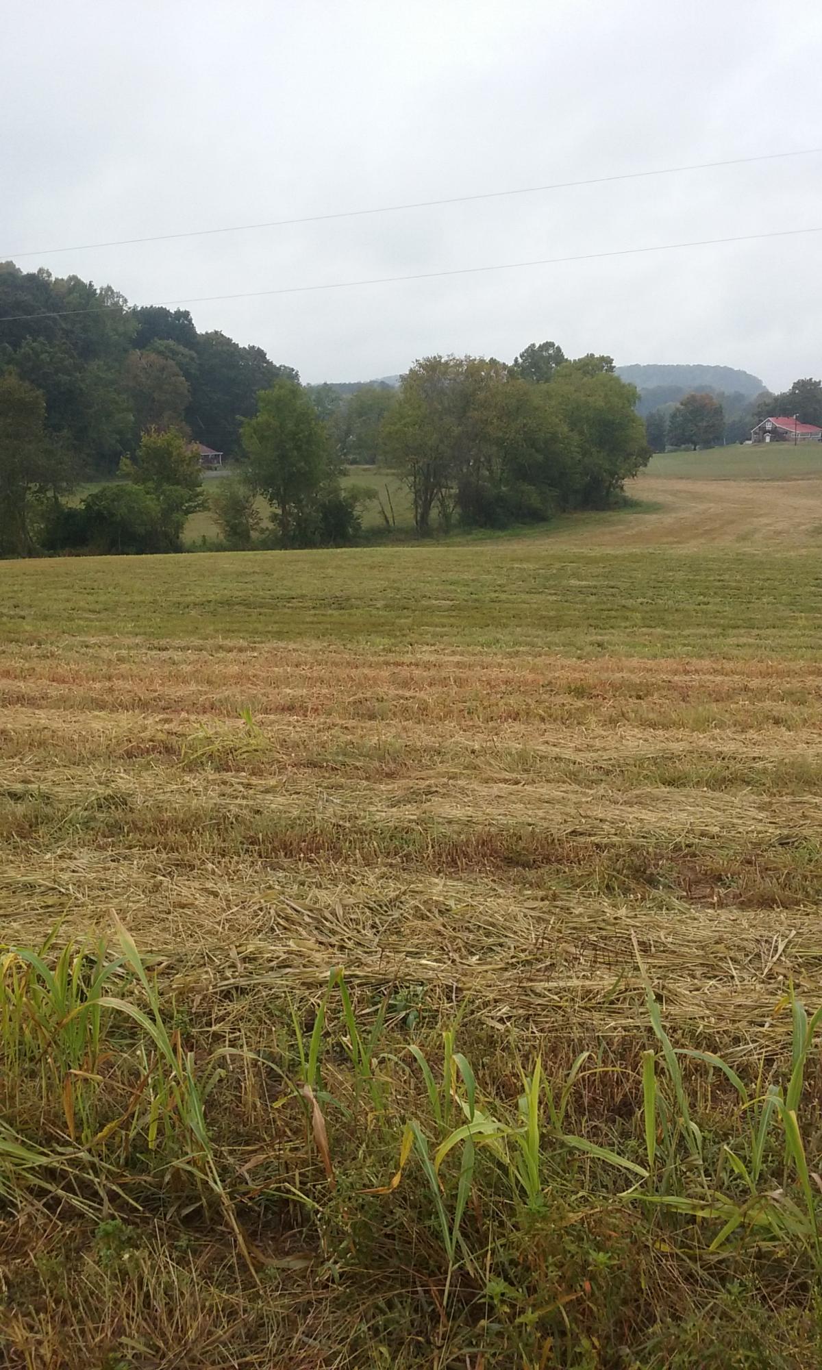 Johnson Church Road Philadelphia, TN 37846 - Photo 7 of 33 013