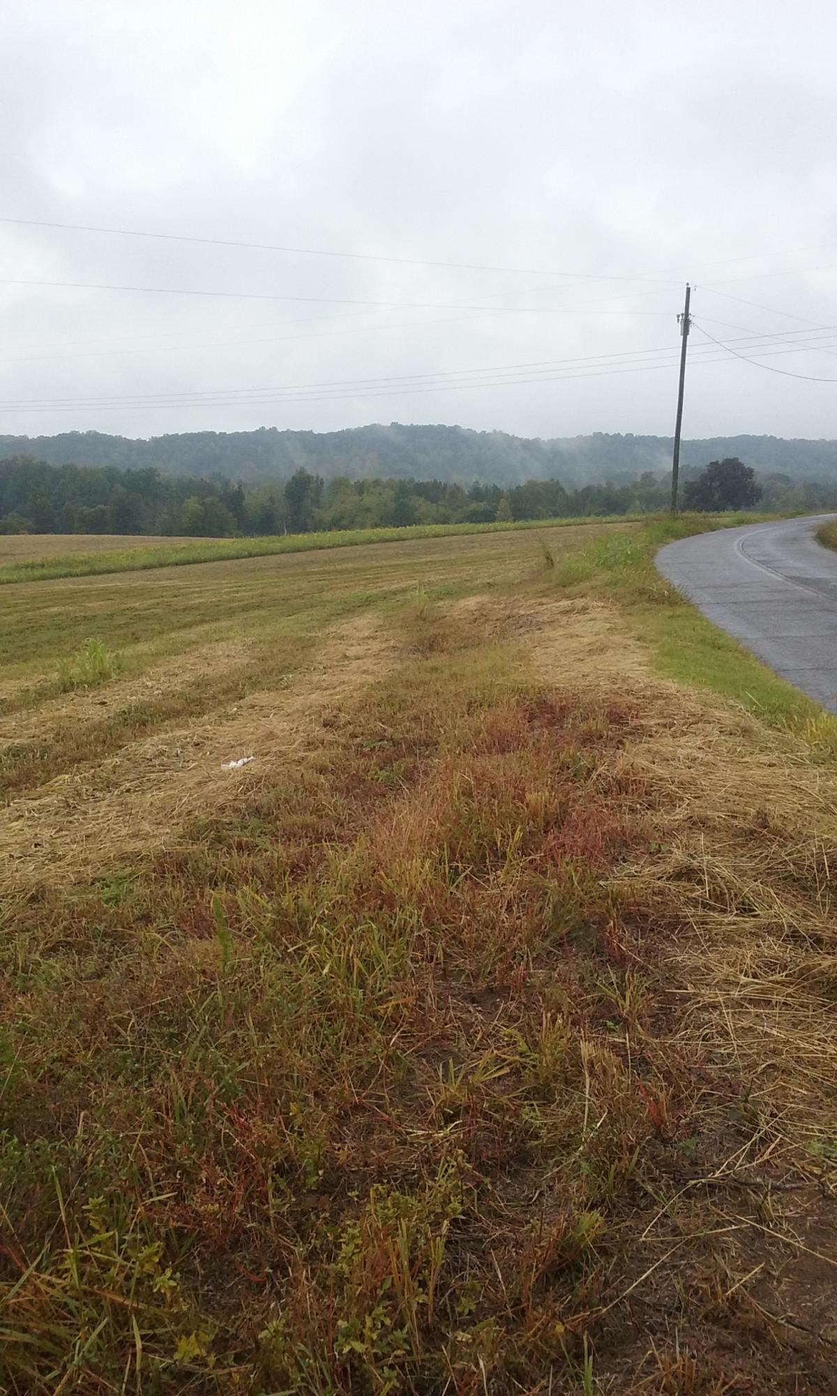 Johnson Church Road Philadelphia, TN 37846 - Photo 9 of 33 017