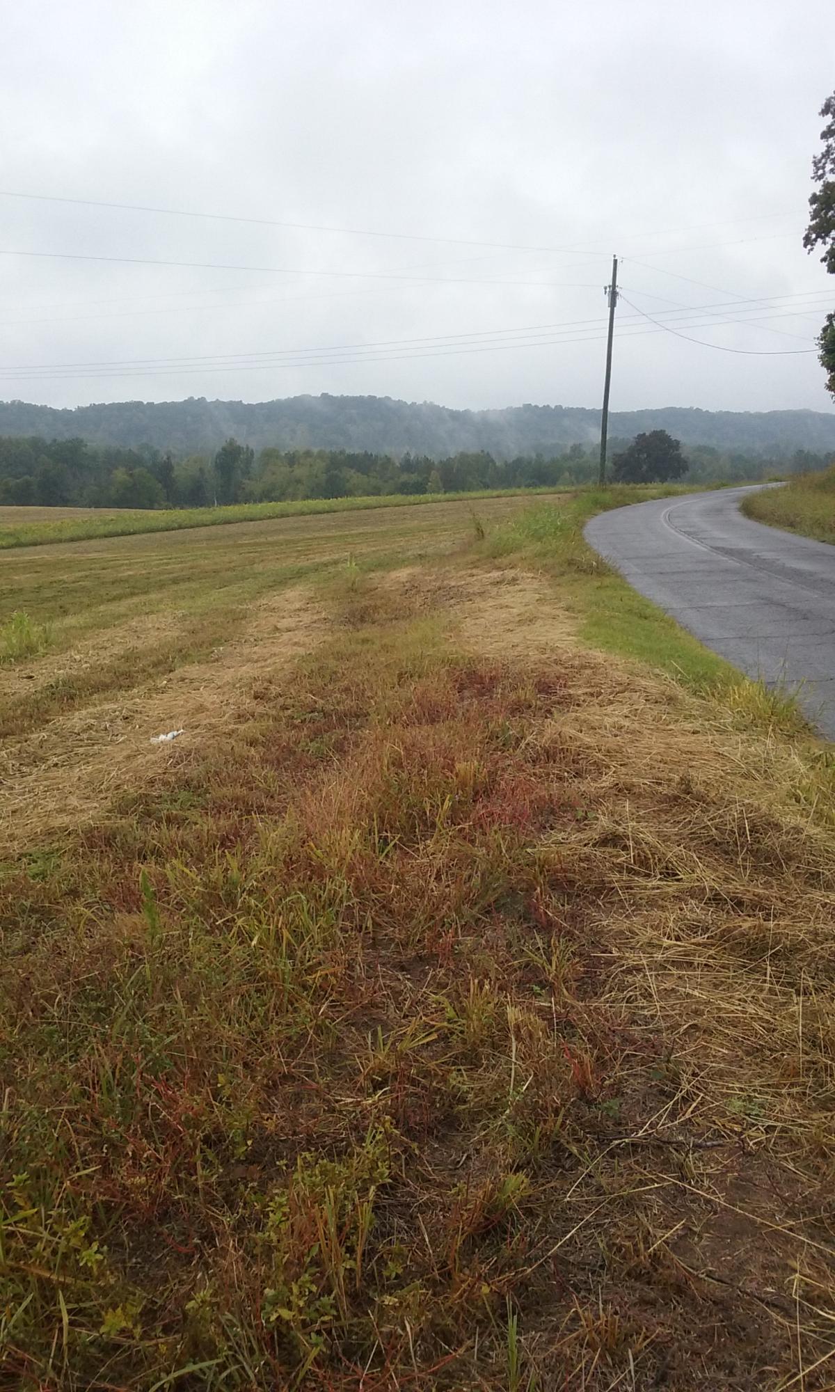 Johnson Church Road Philadelphia, TN 37846 - Photo 10 of 33 018
