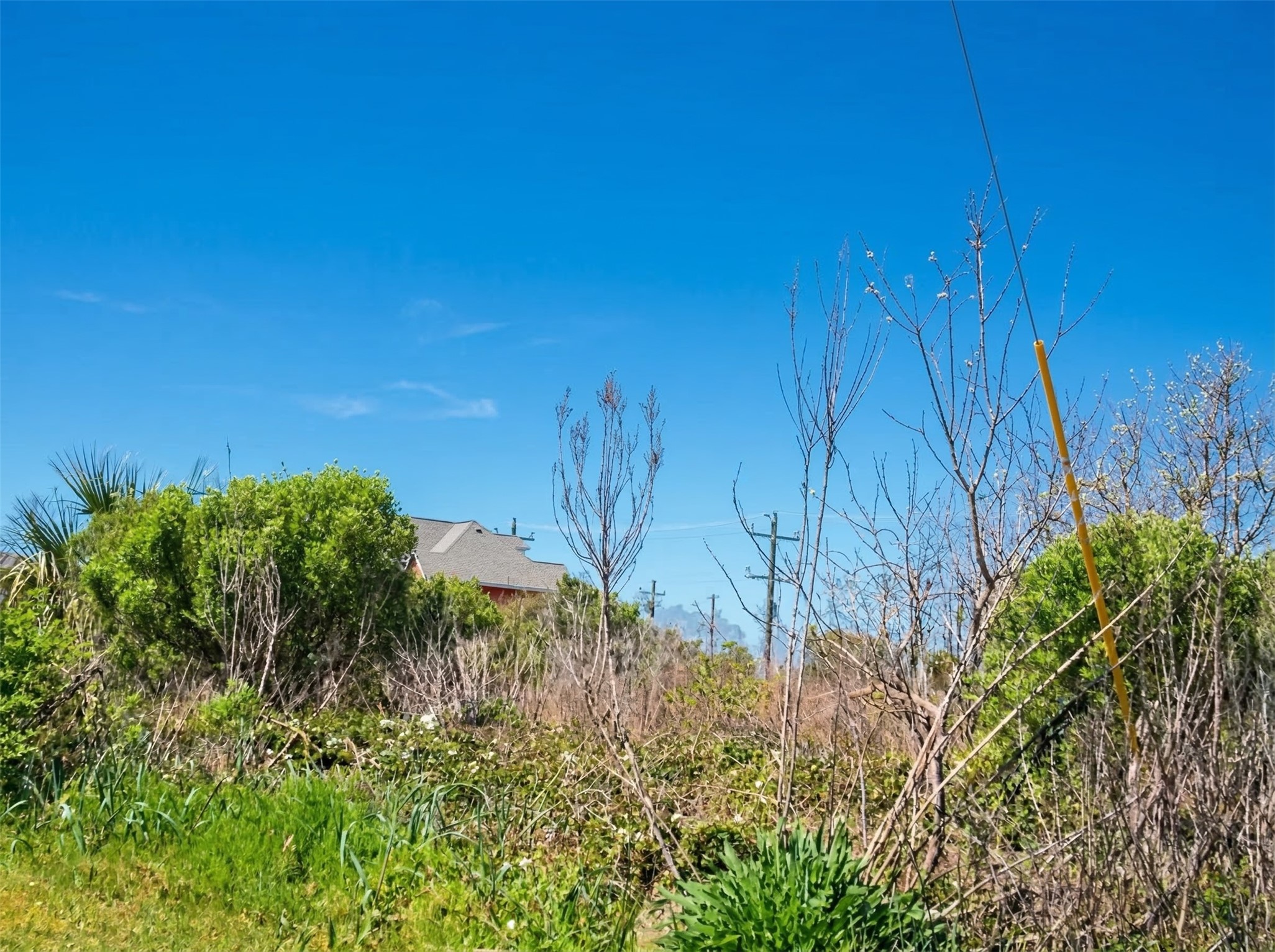 993 Gulf Road Crystal Beach, TX 77650 - Photo 11 of 22