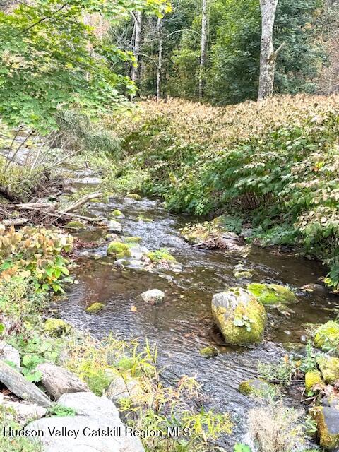 35 Old Rte 42 Shandaken, NY 12480 - Photo 33 of 33 IMG_4852