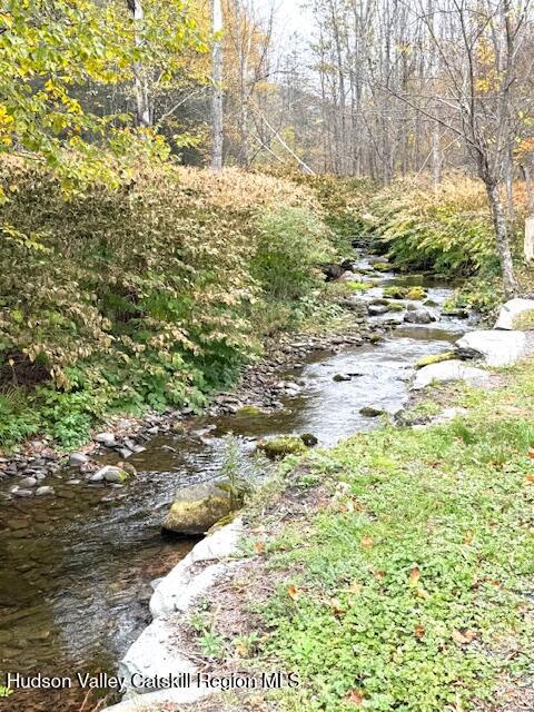 35 Old Rte 42 Shandaken, NY 12480 - Photo 4 of 33 IMG_4853