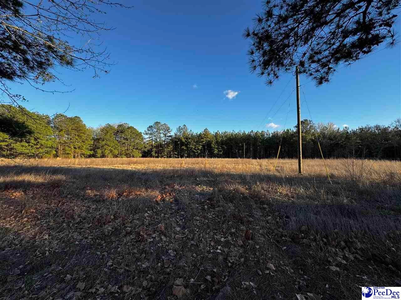 Tbd Tbd Lexyryan Court Latta, SC 29565 - Photo 2 of 5 Gallery Image 2