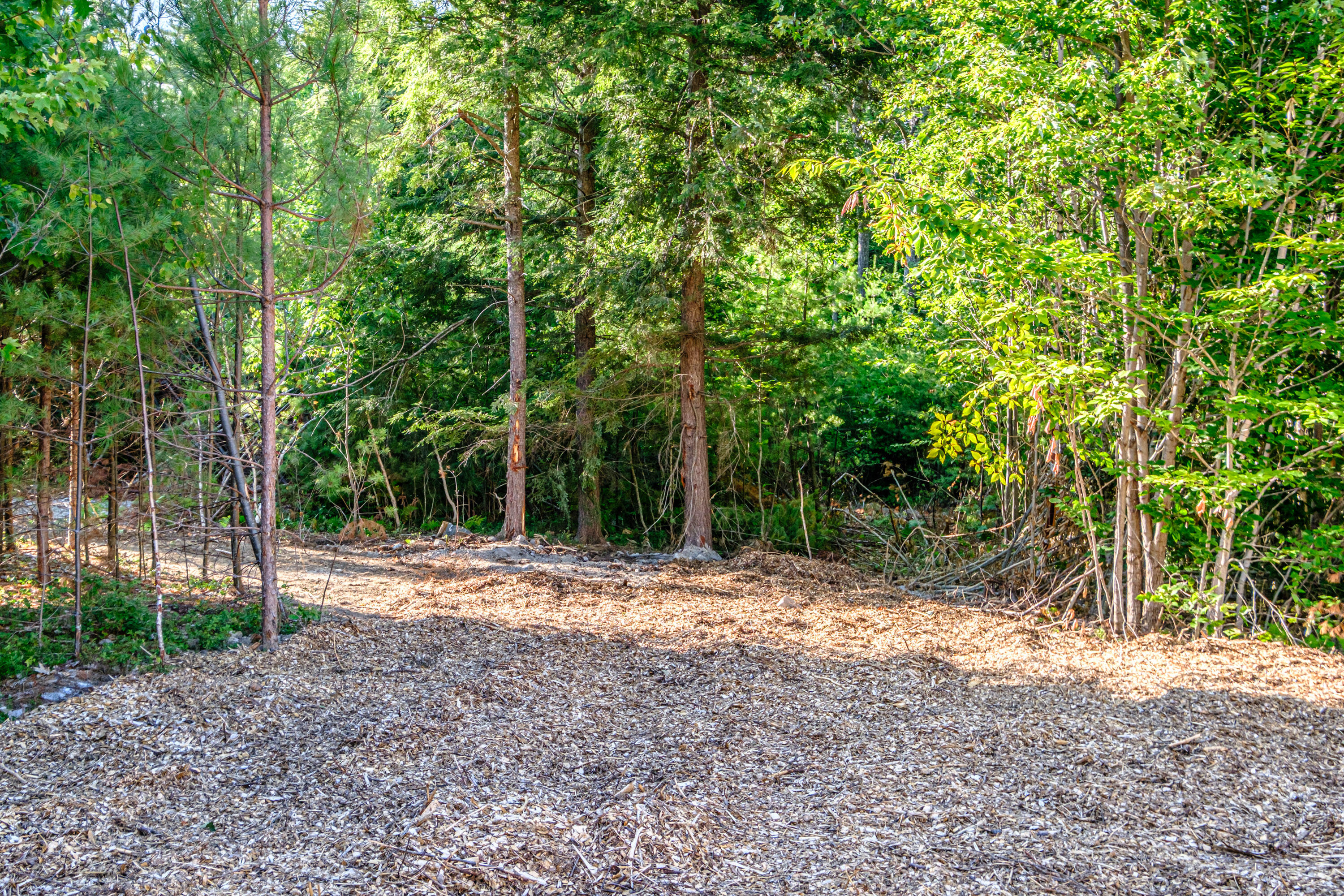 104 Shore Acres Road Parsonsfield, ME 04047 - Photo 12 of 49 20260724gp-65033