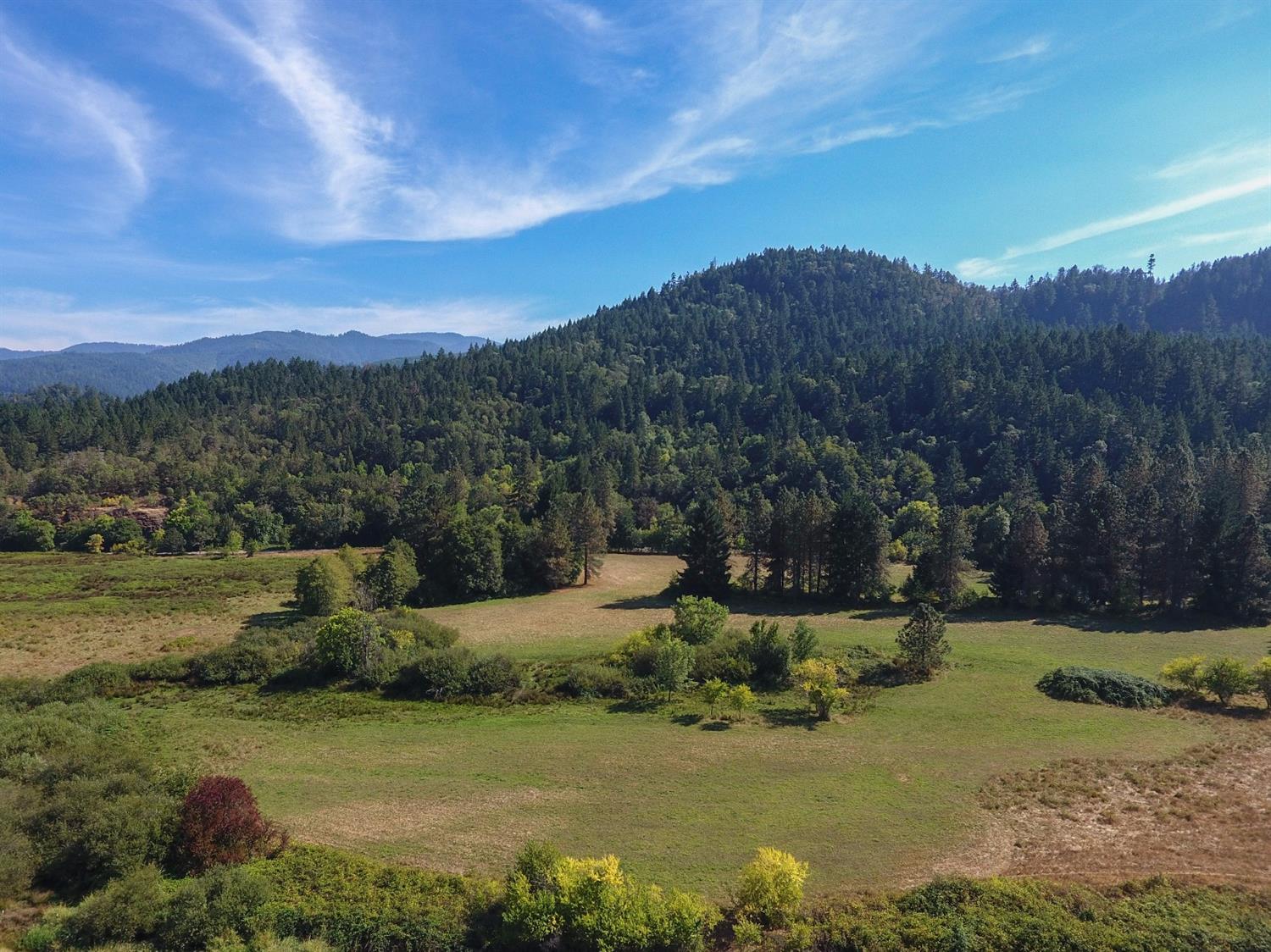 445 Cow Creek Road Riddle, OR 97469 - Photo 6 of 35 a view of a field with an ocean