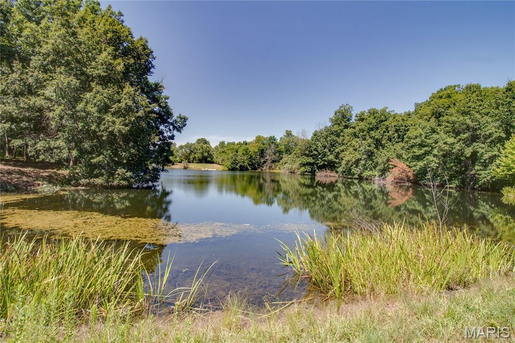 9368 Rhea Park Road Loami, IL 62661 - Photo 26 of 54