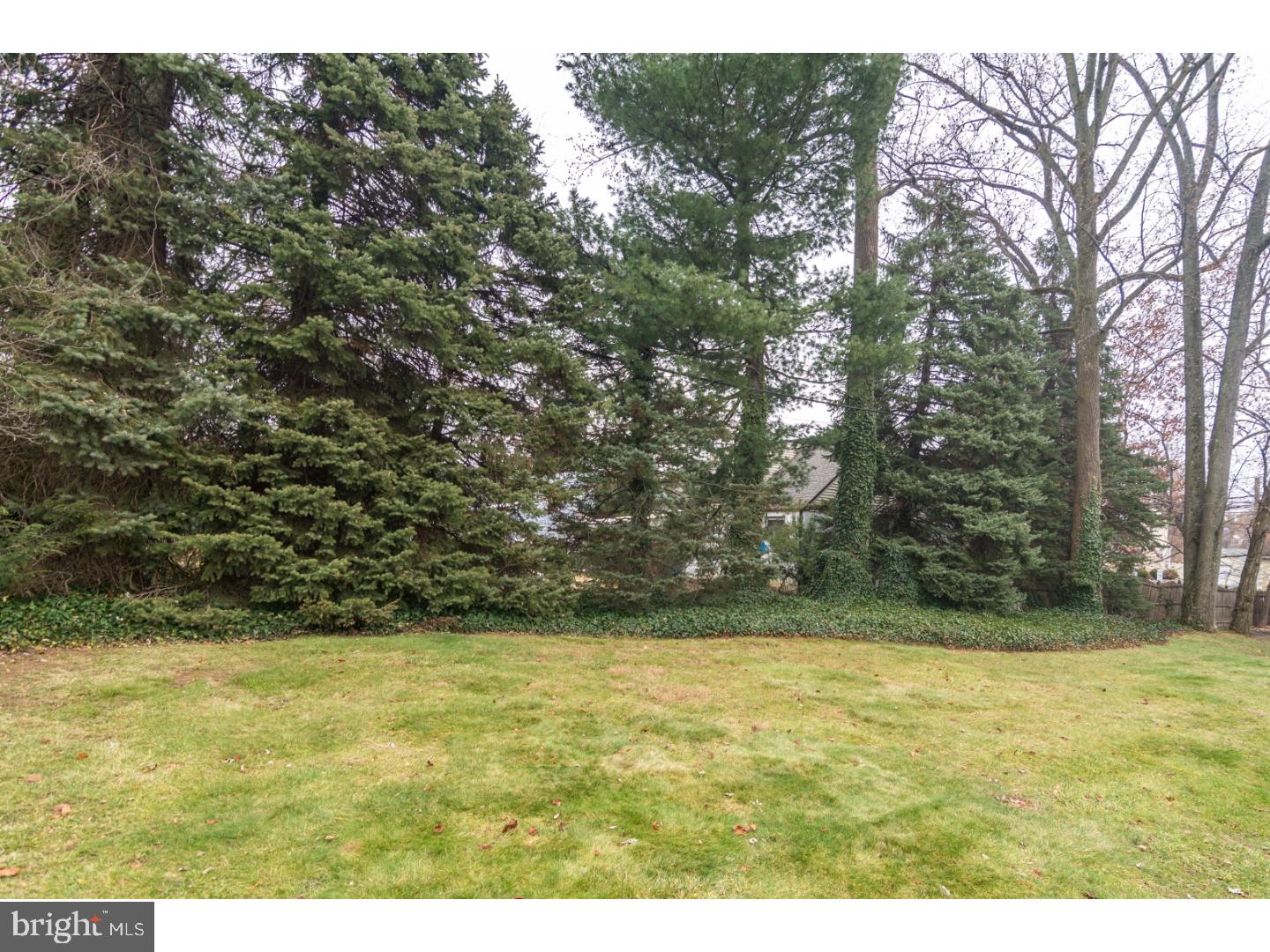 157 Fisher Road Huntingdon Valley, PA 19006 - Photo 22 of 24 Gallery Image 22