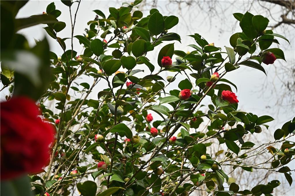 134 Clay's Road Mansura, LA 71350 - Photo 3 of 13