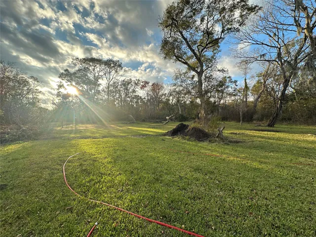 a view of a field with large trees
