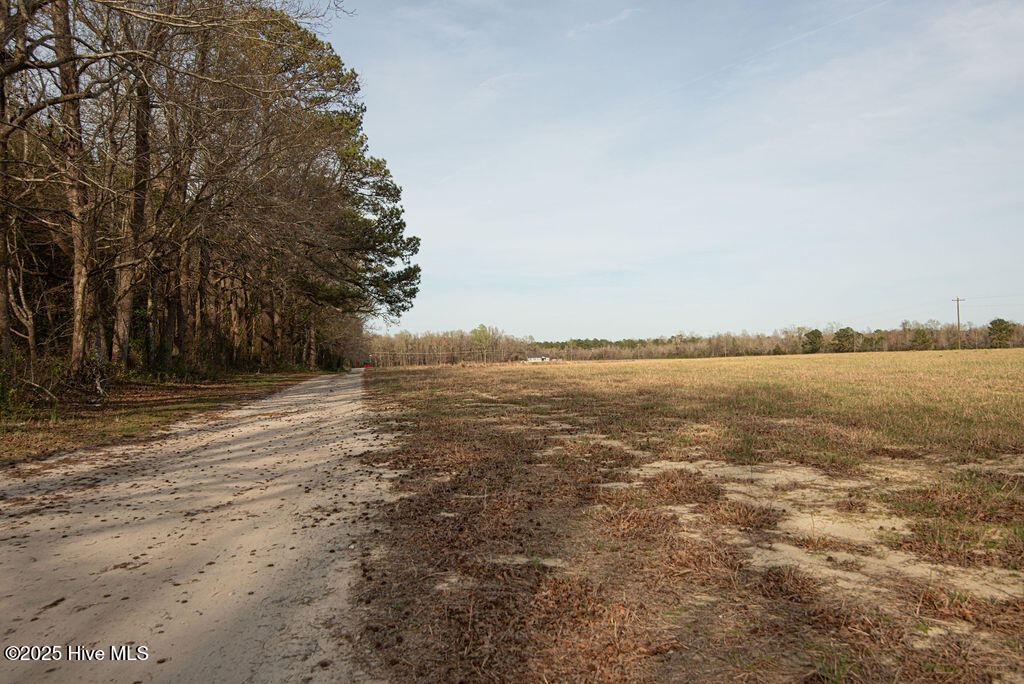 1560 White Oak River Road Maysville, NC 28555 - Photo 81 of 87 DSC_3298