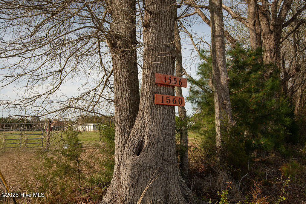 1560 White Oak River Road Maysville, NC 28555 - Photo 82 of 87 DSC_3301