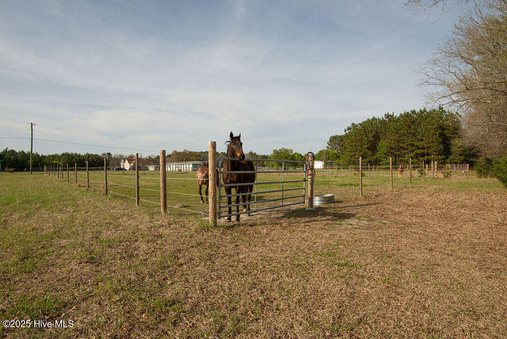 1560 White Oak River Road Maysville, NC 28555 - Photo 83 of 87 DSC_3304