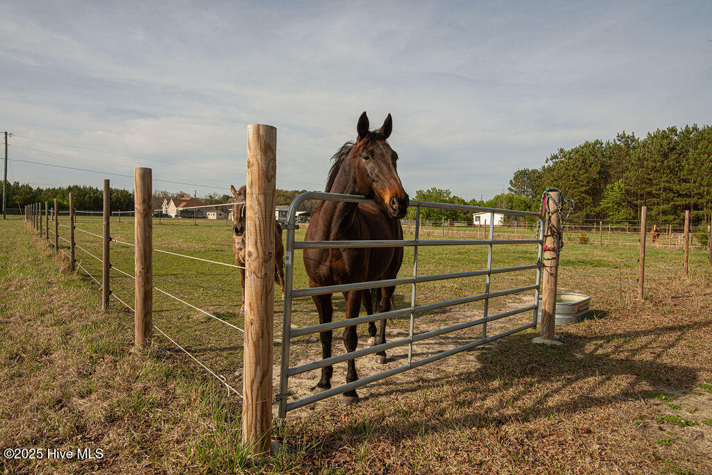 1560 White Oak River Road Maysville, NC 28555 - Photo 84 of 87 DSC_3310