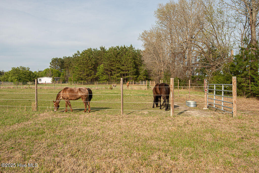 1560 White Oak River Road Maysville, NC 28555 - Photo 85 of 87 DSC_3331