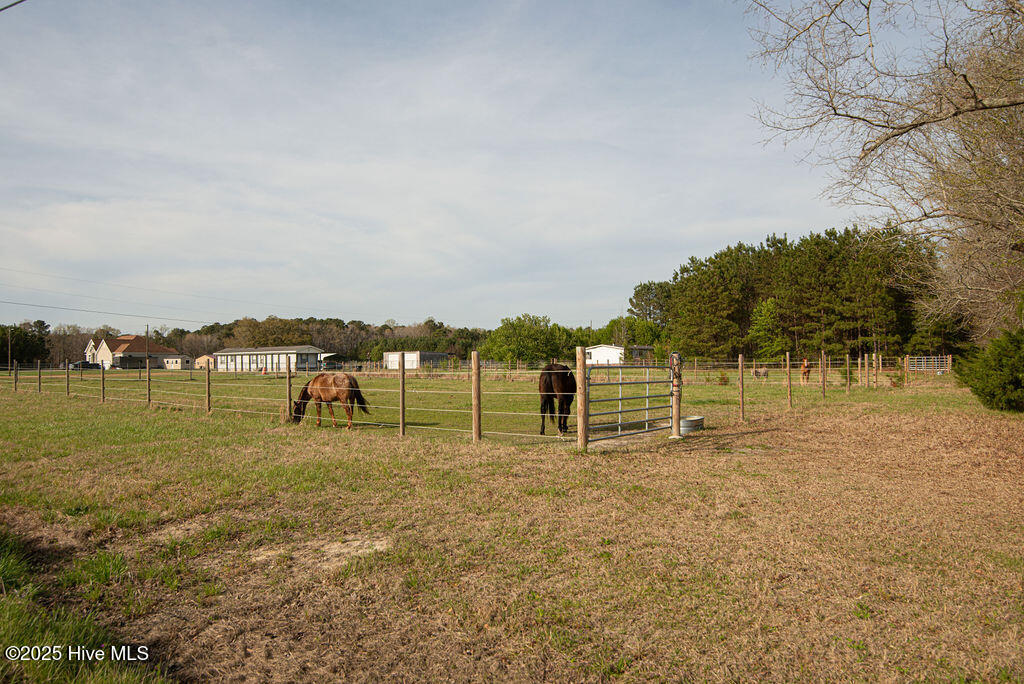 1560 White Oak River Road Maysville, NC 28555 - Photo 86 of 87 DSC_3337
