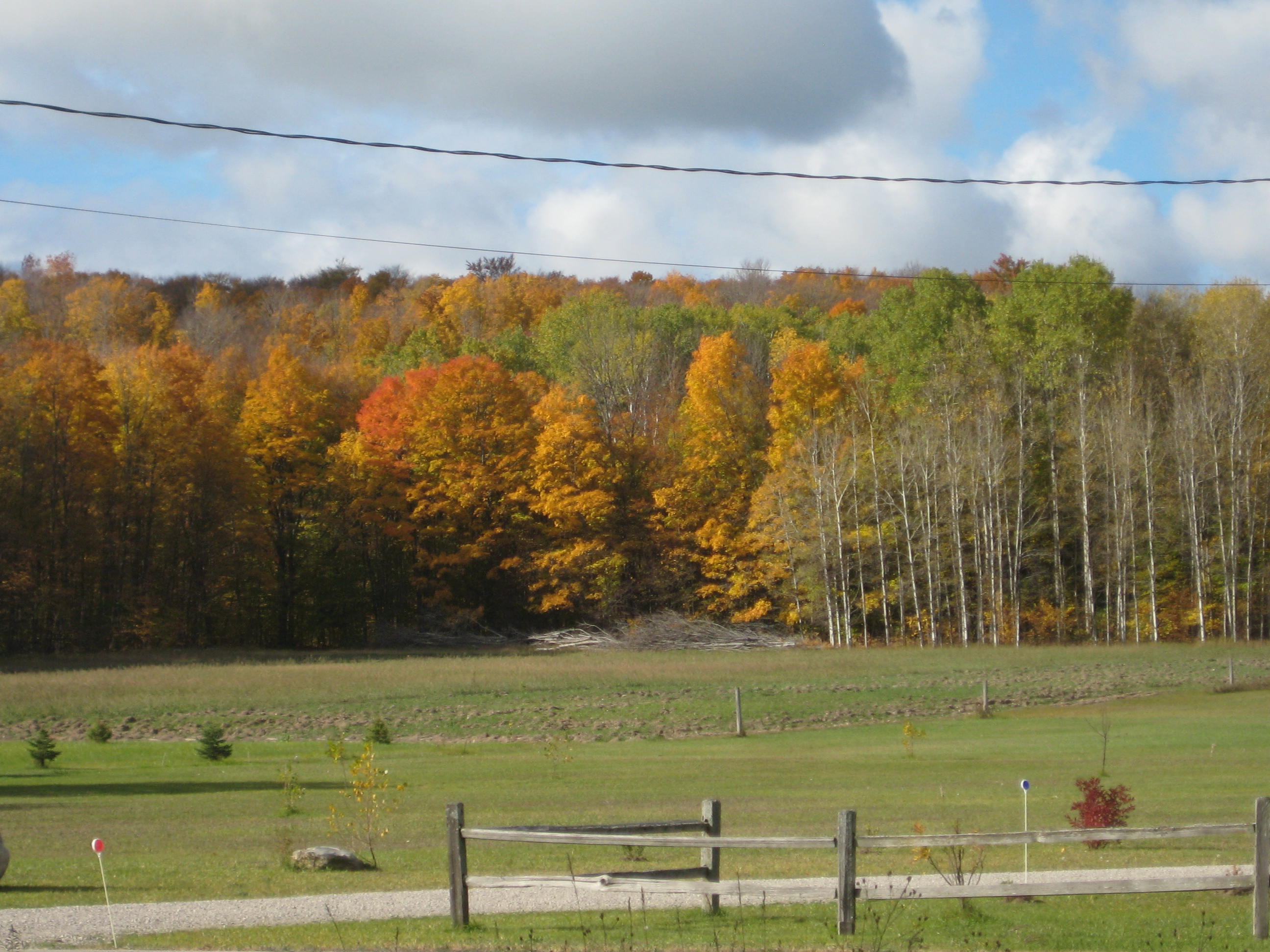Barney Road Alanson, MI 49706 - Photo 8 of 13 Gallery Image 8