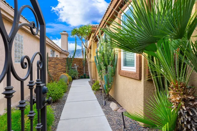 a green field with lots of palm trees