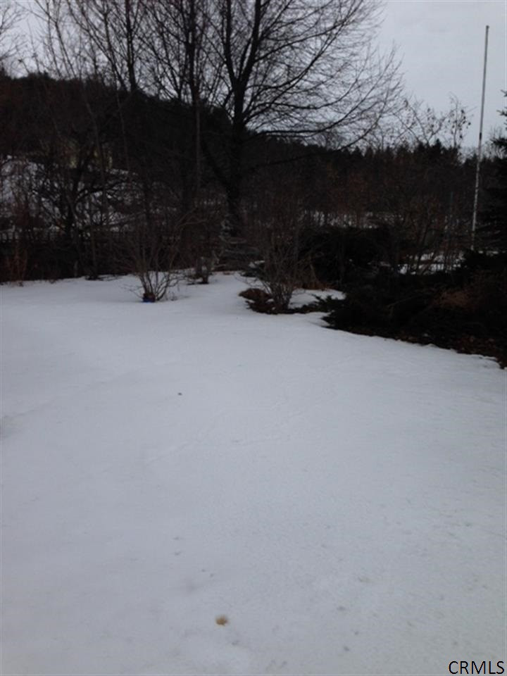 1022 County Rt 61 Shushan, NY 12873 - Photo 5 of 6 Photo 5