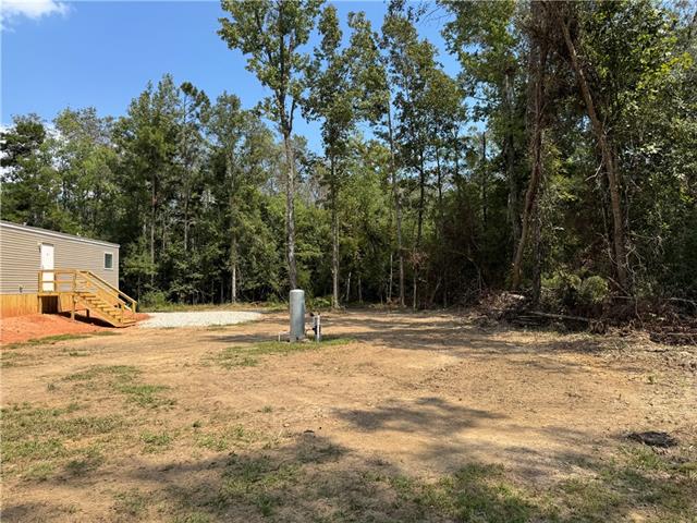 29536 Linda's Haven Road Springfield, LA 70462 - Photo 34 of 34 Gallery Image 34