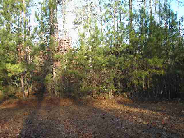 Lot 6 Ridgewood Harbor Road Waterloo, SC 29384 - Photo 1 of 1
