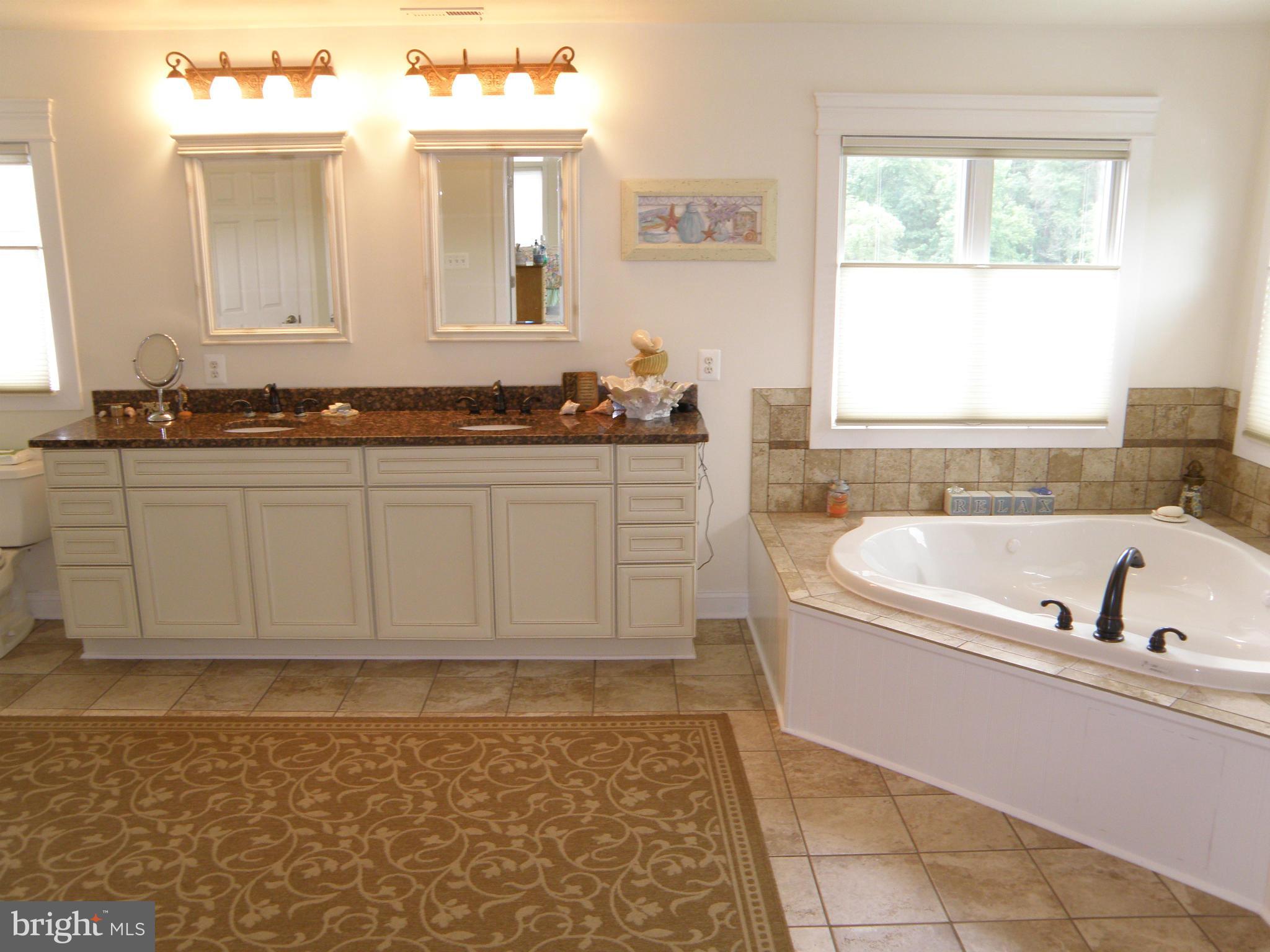 329 Steedman Point Road Pasadena, MD 21122 - Photo 10 of 30 Bath (Master)