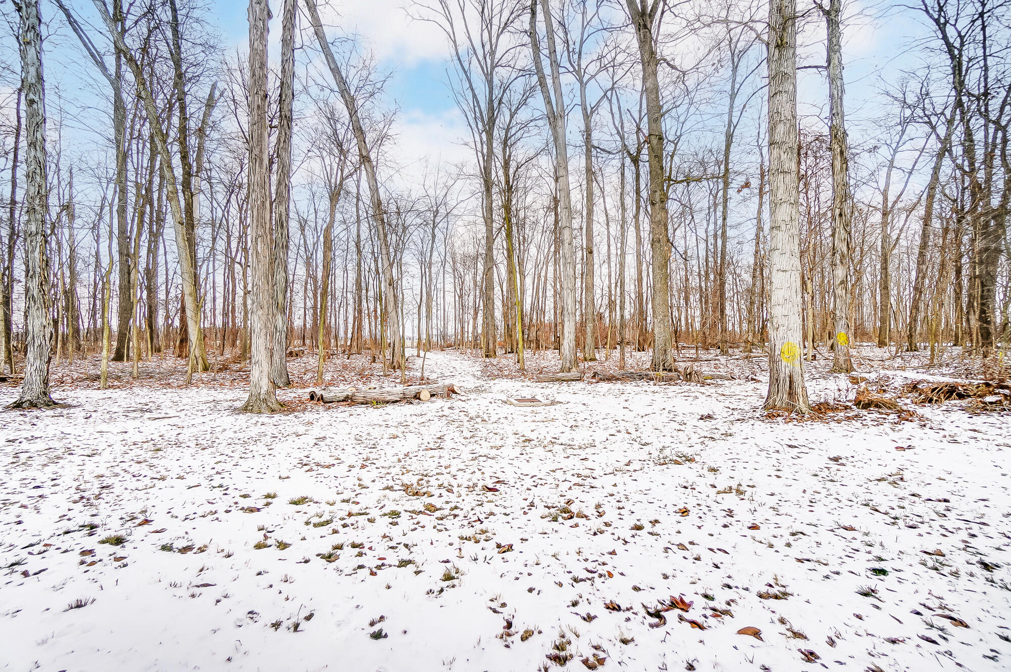 9990 Houschilt Road Yorkshire, OH 45388 - Photo 48 of 49