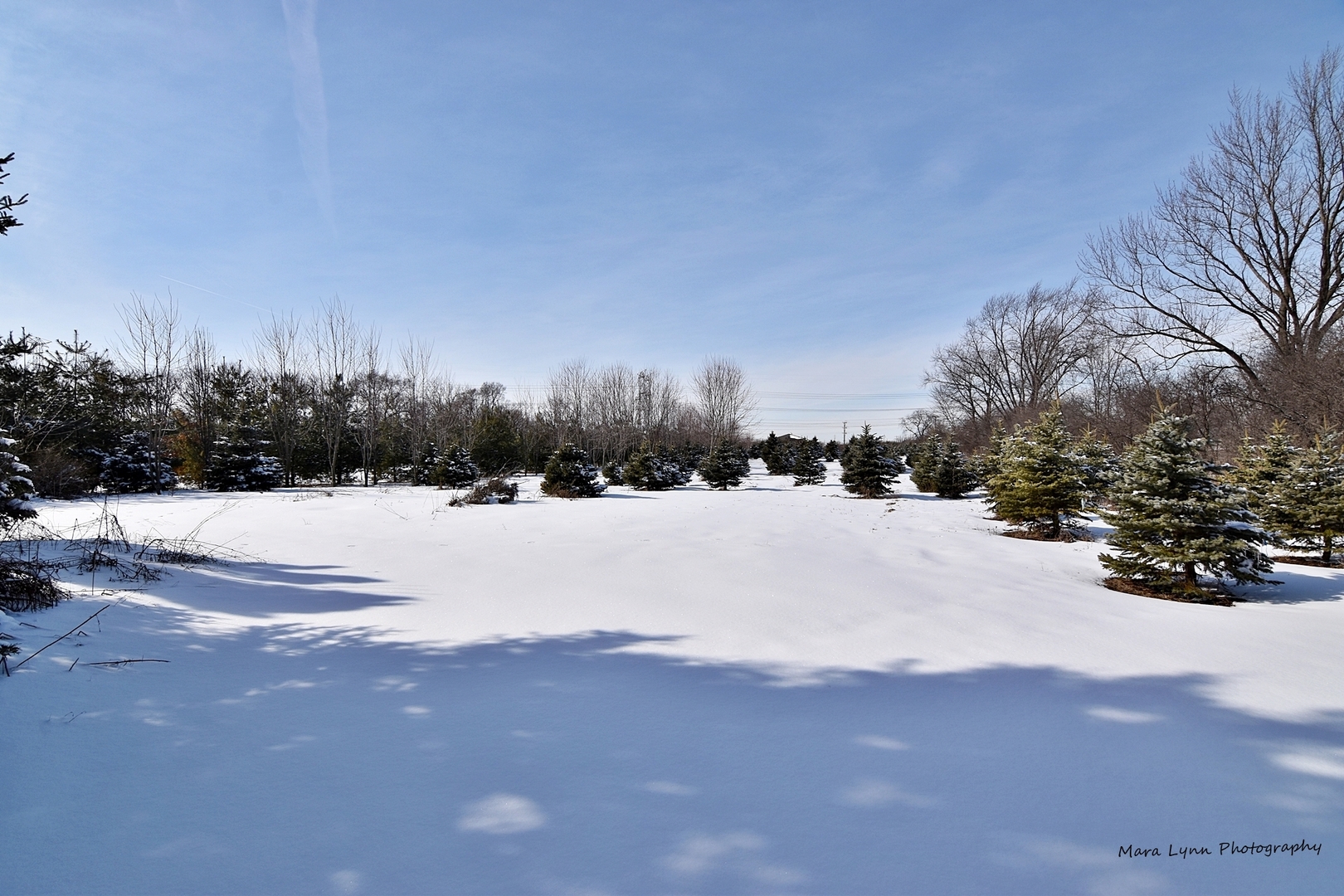 0 Roosevelt Road West Chicago, IL 60185 - Photo 3 of 6