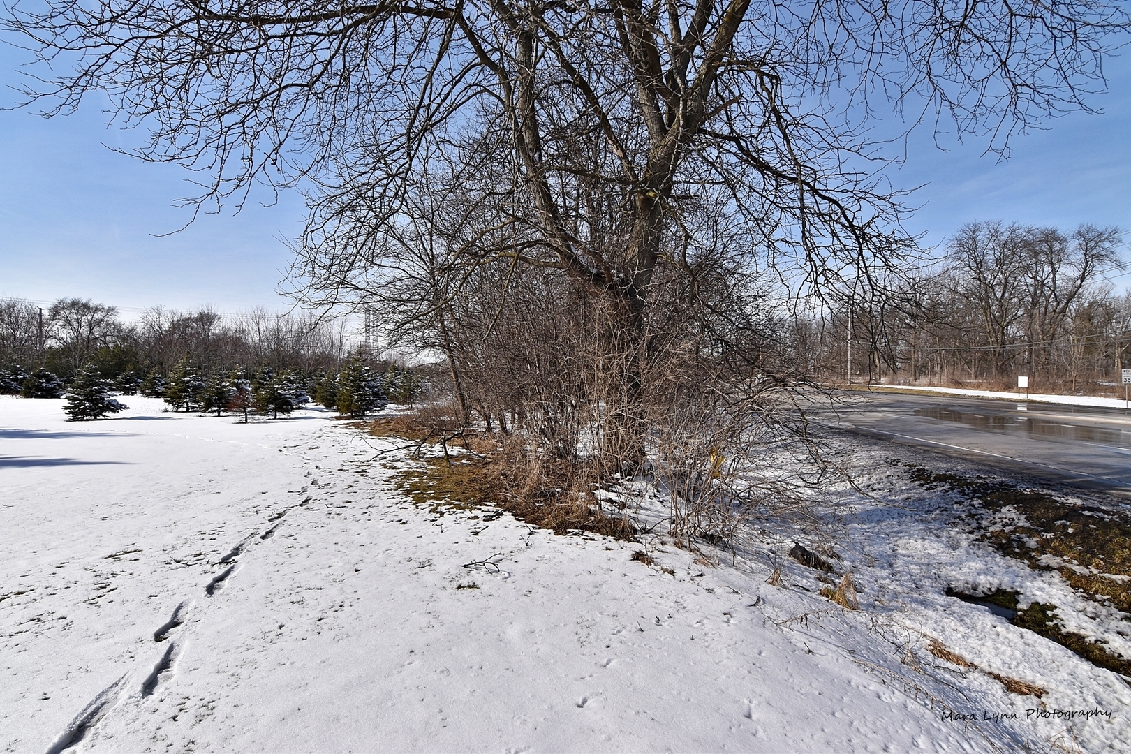 0 Roosevelt Road West Chicago, IL 60185 - Photo 5 of 6