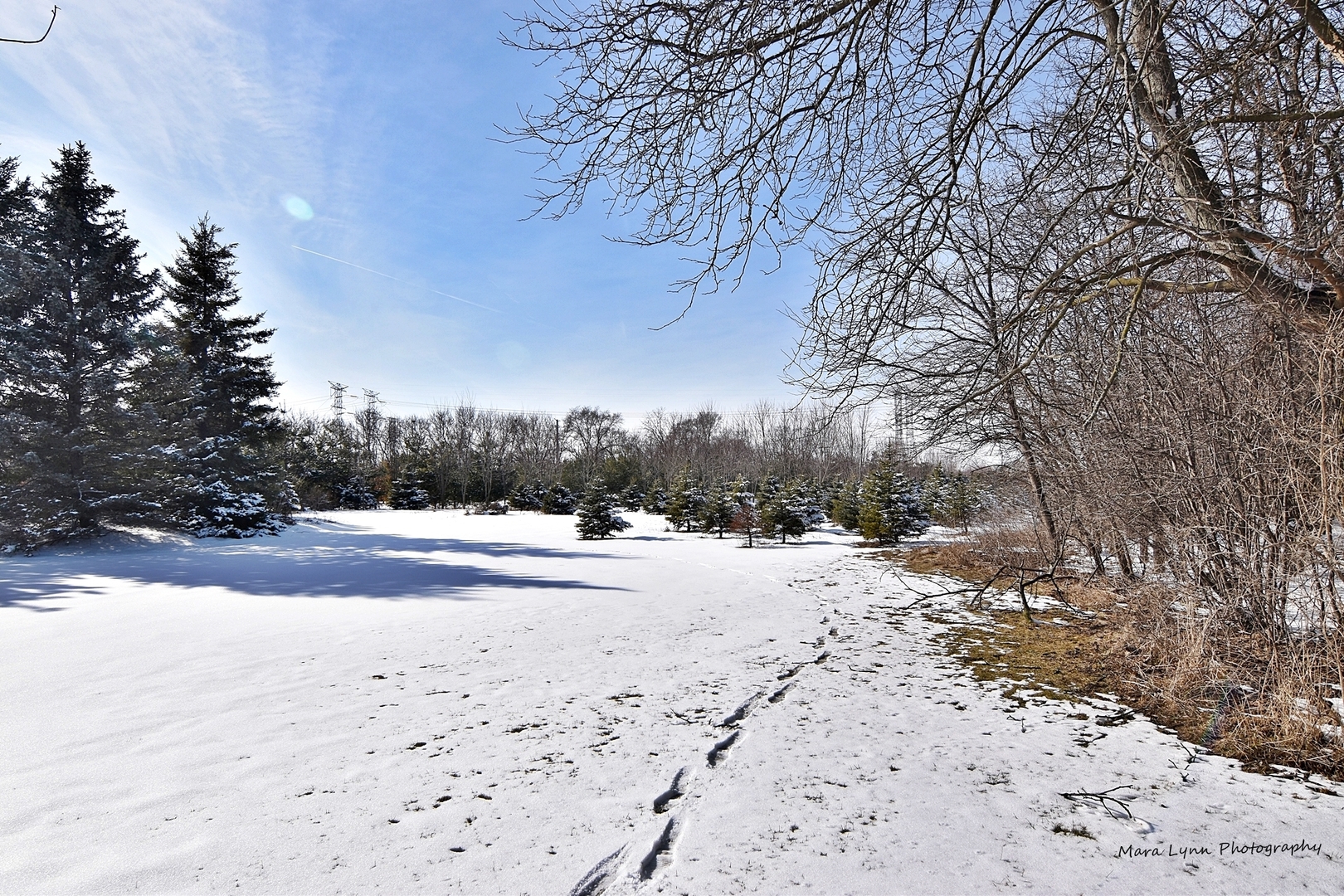 0 Roosevelt Road West Chicago, IL 60185 - Photo 6 of 6