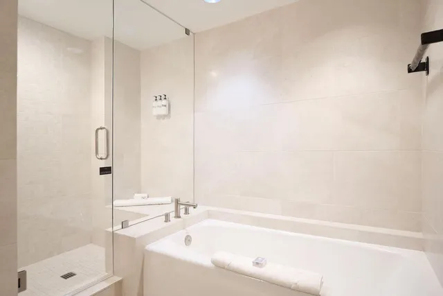 a bathroom with a bathtub and a shower