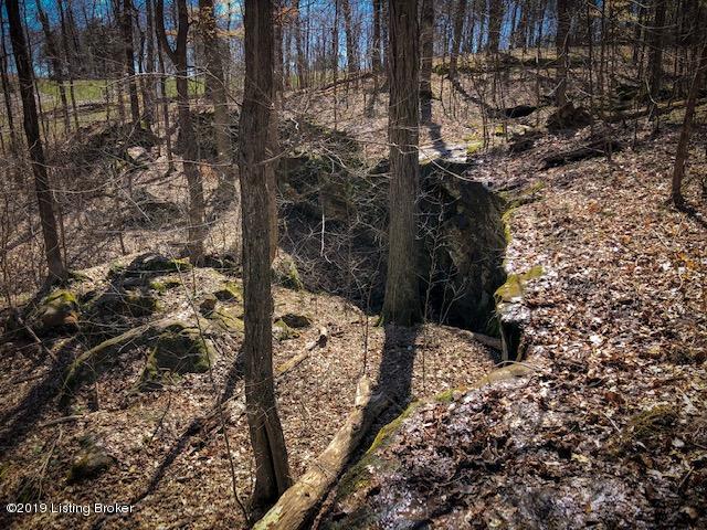 38 Concord Point Road Falls Of Rough, KY 40119 - Photo 6 of 12 IMG_7588