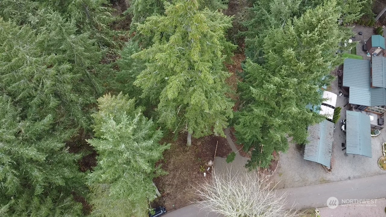 1546 Reservation Road Southeast, Unit 157 Olympia, WA 98513 - Photo 12 of 32 a view of a street with potted plants and large trees