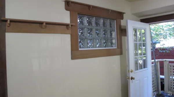 a view of a yard with plants and large trees