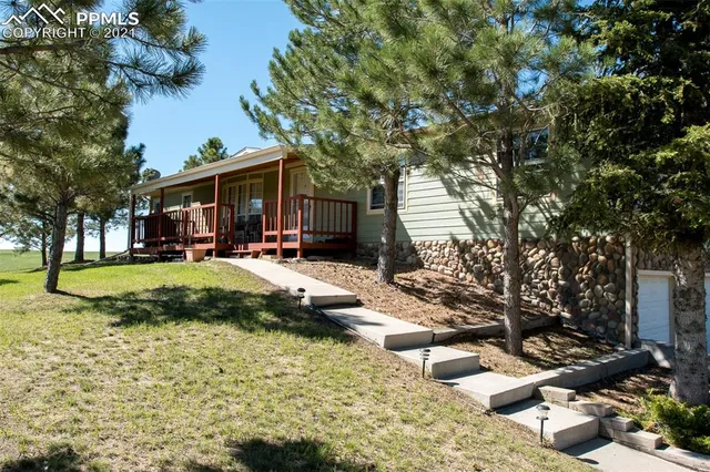 a view of a yard with plants and large trees