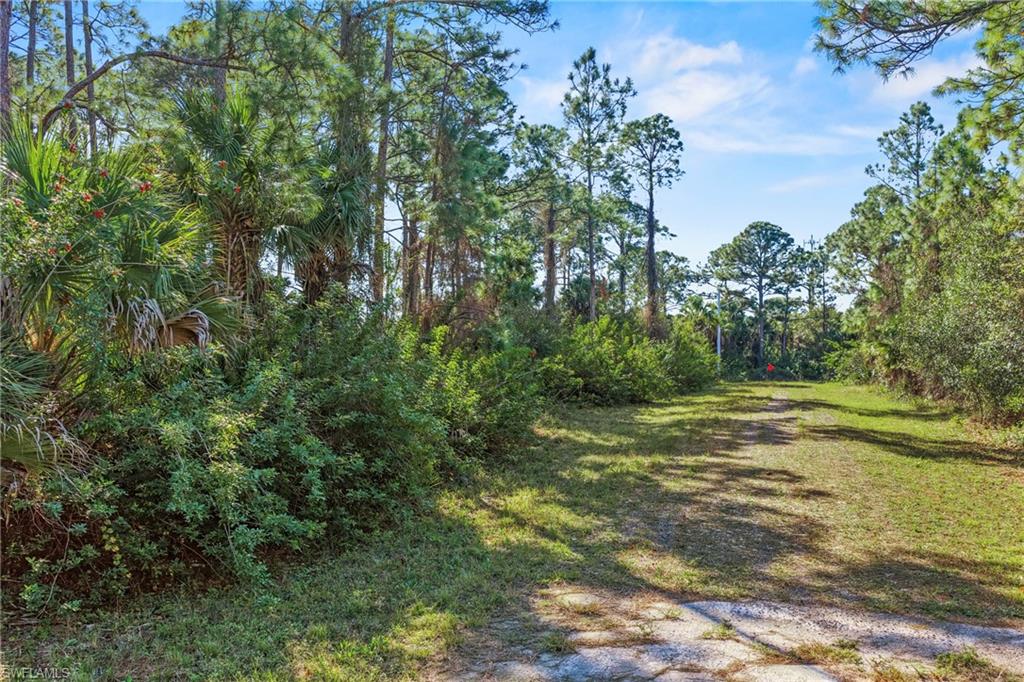 4702 Rita Avenue North Lehigh Acres, FL 33971 - Photo 12 of 15 a view of a yard with a tree