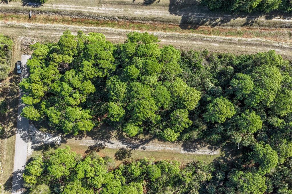 4702 Rita Avenue North Lehigh Acres, FL 33971 - Photo 5 of 15 a view of a yard with an outdoor space