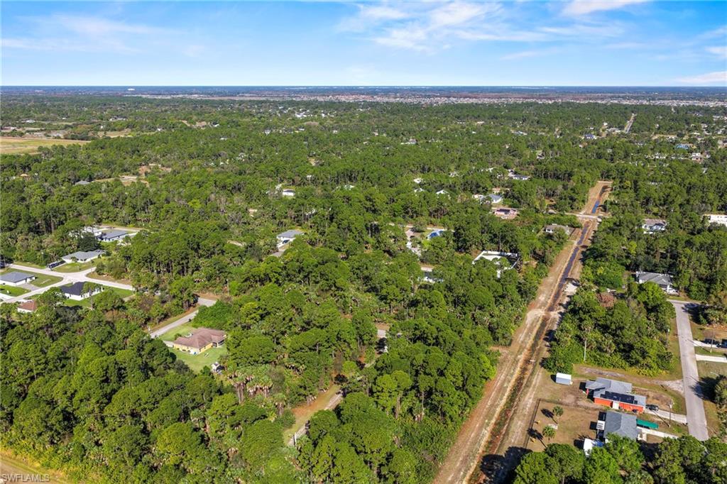 4702 Rita Avenue North Lehigh Acres, FL 33971 - Photo 10 of 15 a view of a city with lush green forest