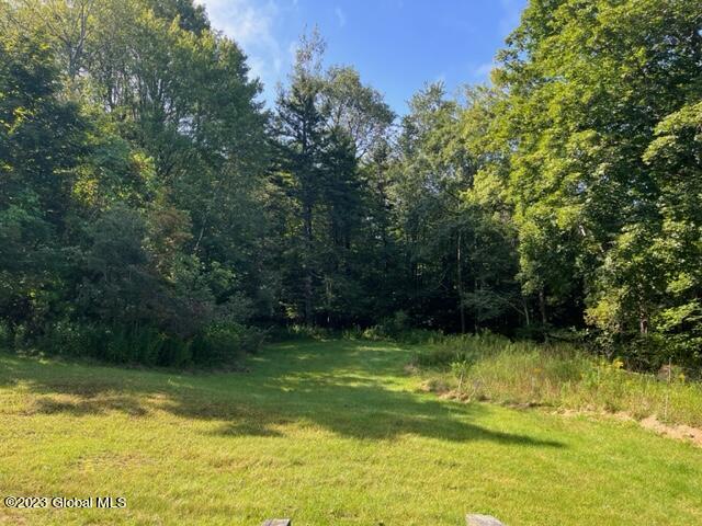 1554 Plank Road Poestenkill, NY 12138 - Photo 19 of 27 IMG_8941