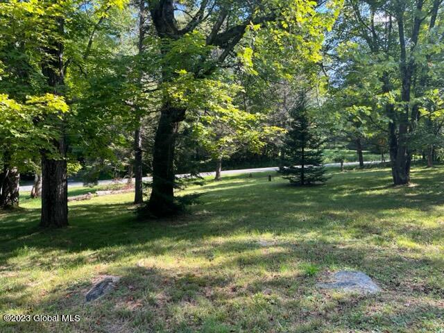 1554 Plank Road Poestenkill, NY 12138 - Photo 21 of 27 IMG_8943