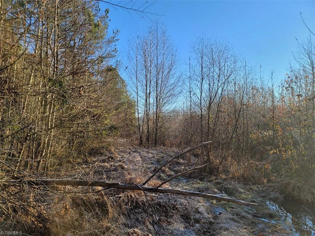 2300 Shuff Road Madison, NC 27025 - Photo 3 of 5